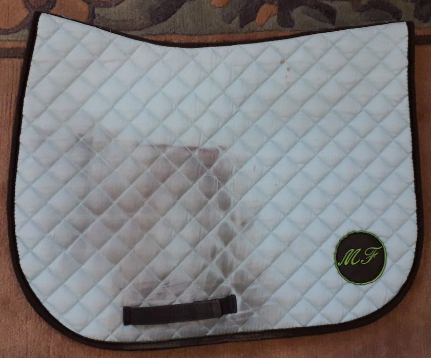 Suadouro azul para cavalo