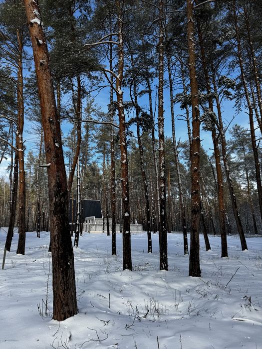 Песчанка Лес, Асфальт 6,63 сотки.