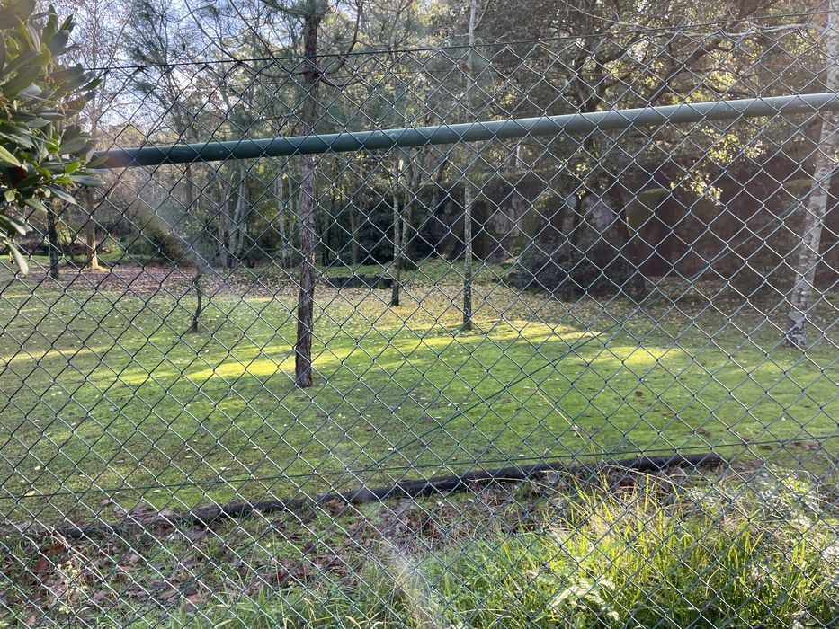 Local para evento - Lisbon Barbecue