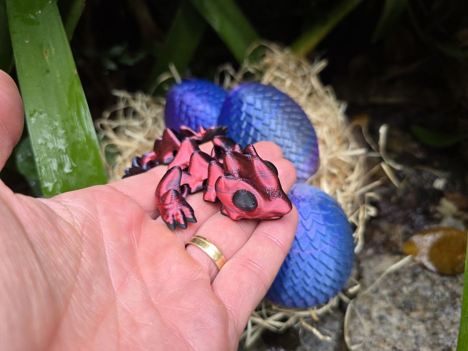 Bebé Dragão no Ovo