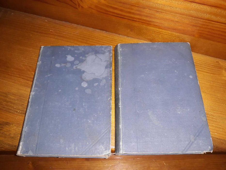 Книги  А.И. Левитова, 1 и 3 том, 1905г.