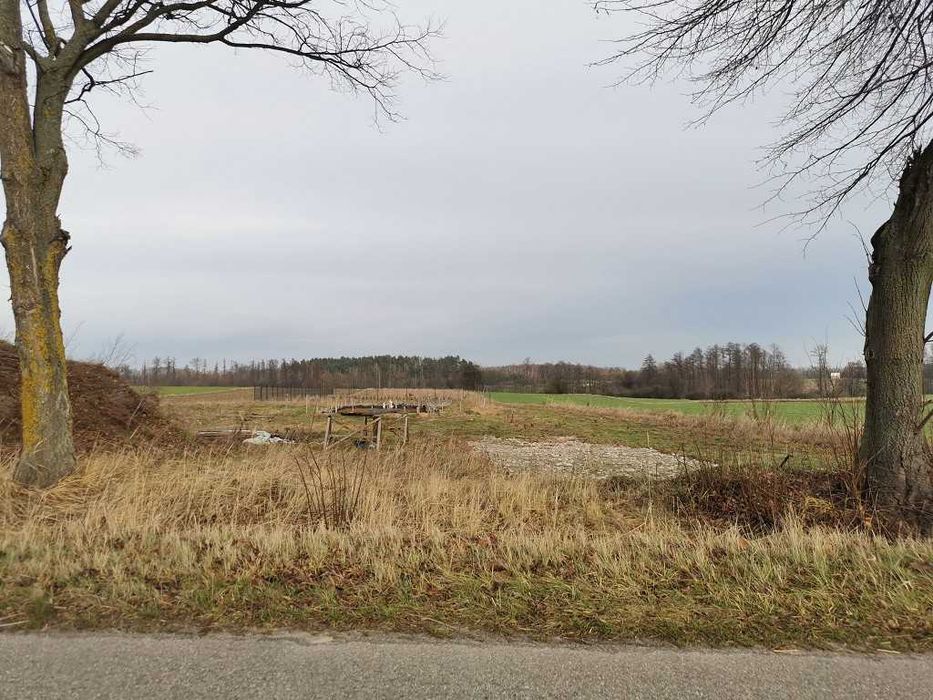 Działka budowlana 1000 m² Warunki zabudowy Droga asfaltowa BEZPOŚREDNIO - Widok 2
