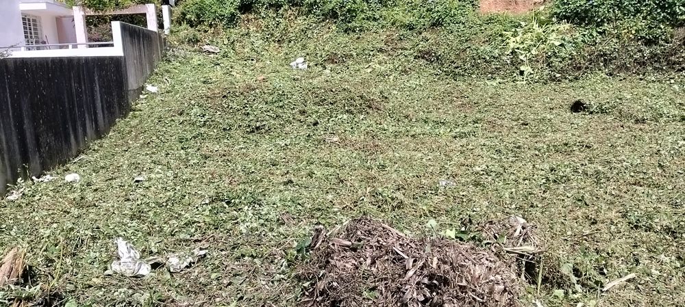 Limpeza de terrenos manutenção e construção de jardins