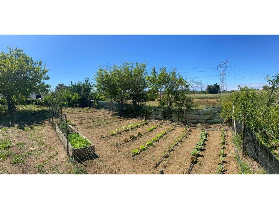 Quinta com vista Mar em Santiago do Cacém