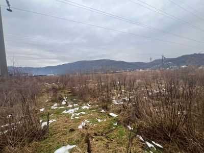 Хустський район, сел. Довге, ур. “Бурова”. Земельна ділянка  0,5576 га