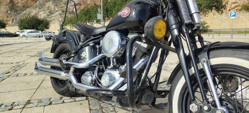 Harley Davidson crossbones
