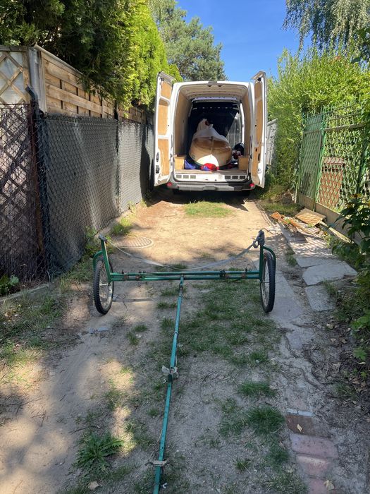 Wynajme łódkę wiosłową Northon 300 zegrze jachranka