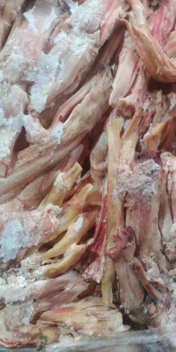 Жила становая говяжья яловича.  Жилка Путовая.   Субпродукты