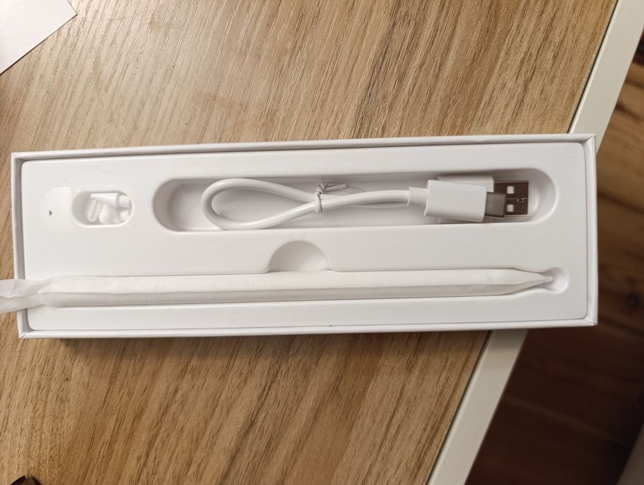 Rysik do IPada Apple