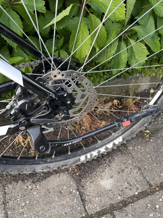 Rower górski MTB  Kellys Spider 50 2024 Rama L koła 29