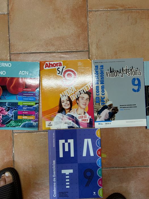 Cadernos de atividades do 9 ano