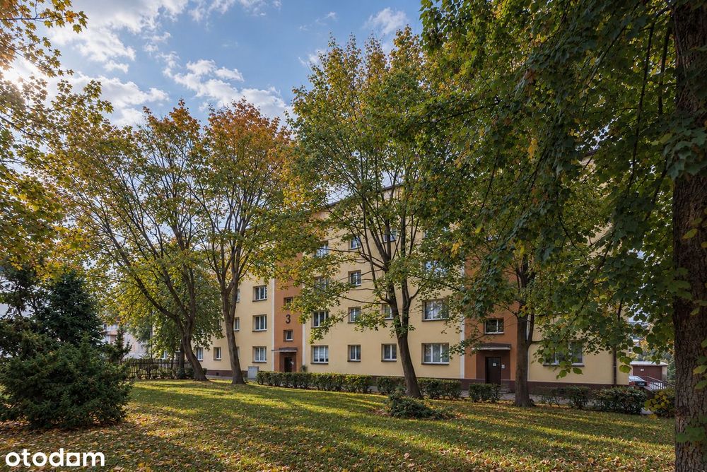 Ciche 59 m2 w centrum – parter, cegła, ul. Nowogródzka 3