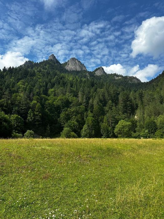 Noclegi w Pieninach Boguj