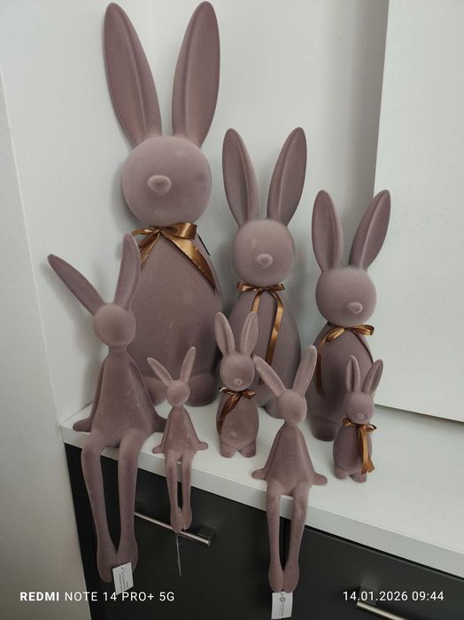 Zające brązowe zestaw