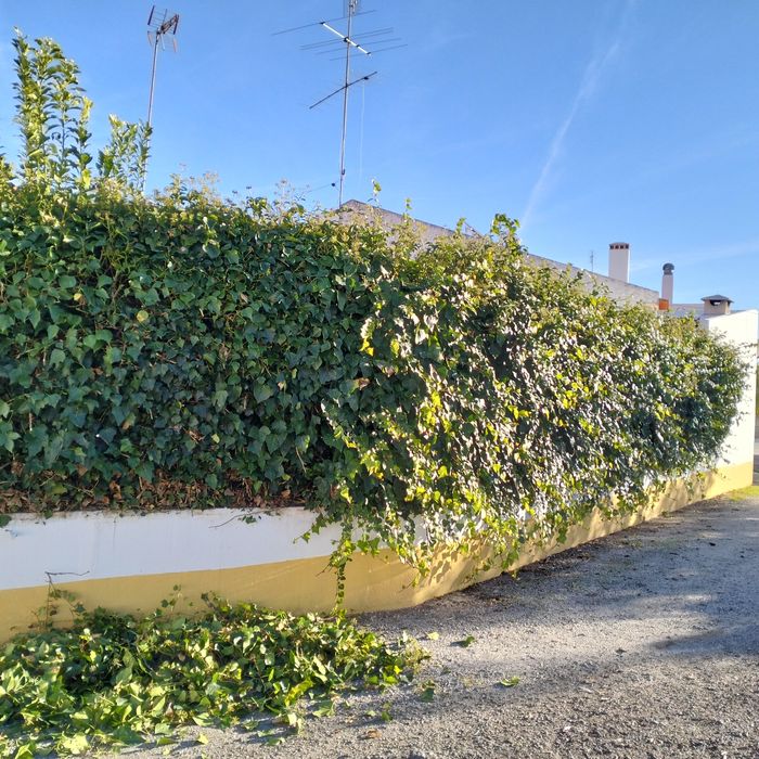 Prestação de serviços