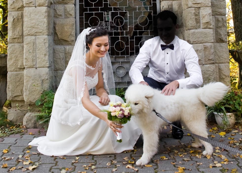 Suknia Ślubna, kolor: ecru, krój: litera A