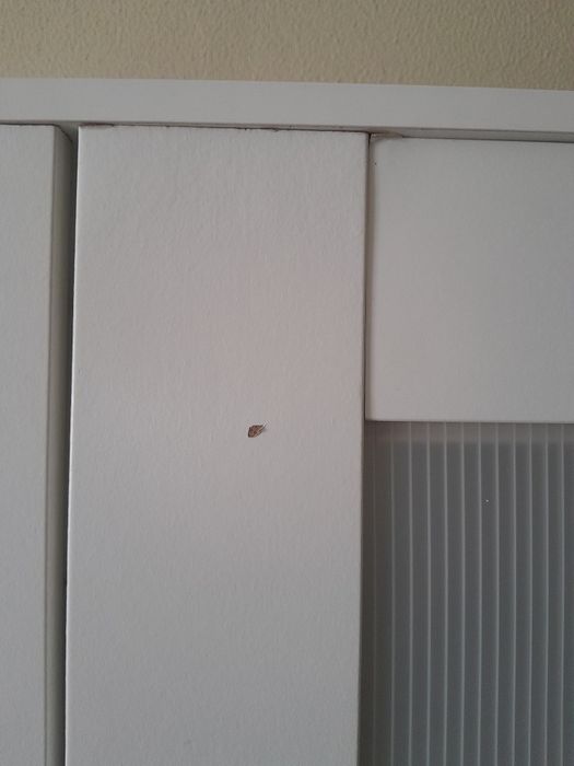 Roupeiro branco Ikea