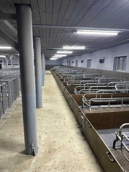 Ферма, господарські будівлі та споруди