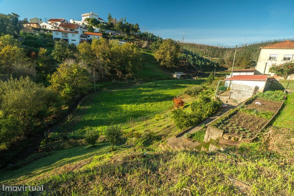Terreno em Macinhata do Vouga