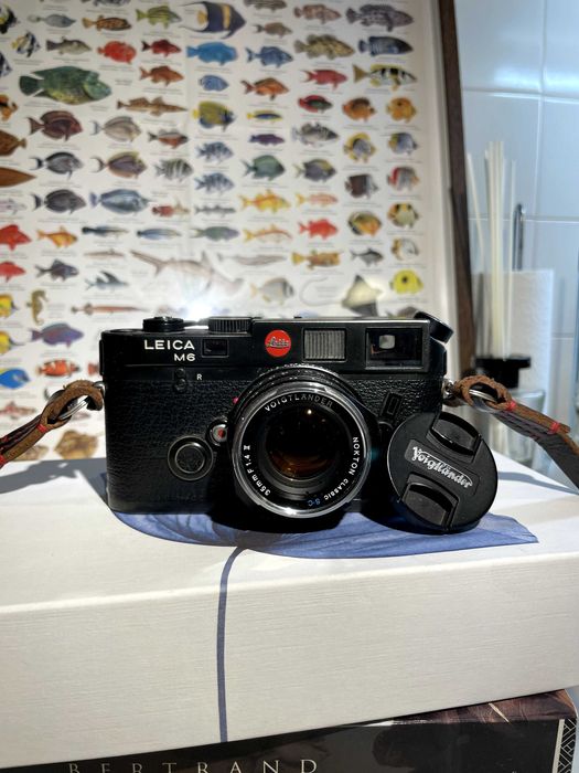 Leica M6 com Voigtlander Nokton 35mm F1.4
