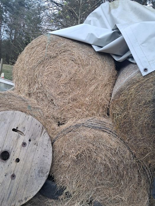 Słoma i sianoo sprzedam