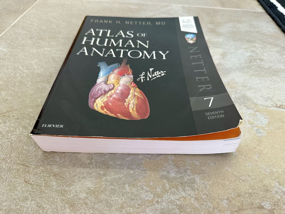 Livro Atlas of Human Anatomy (7ª Edição em Inglês) Frank H. Netter, MD