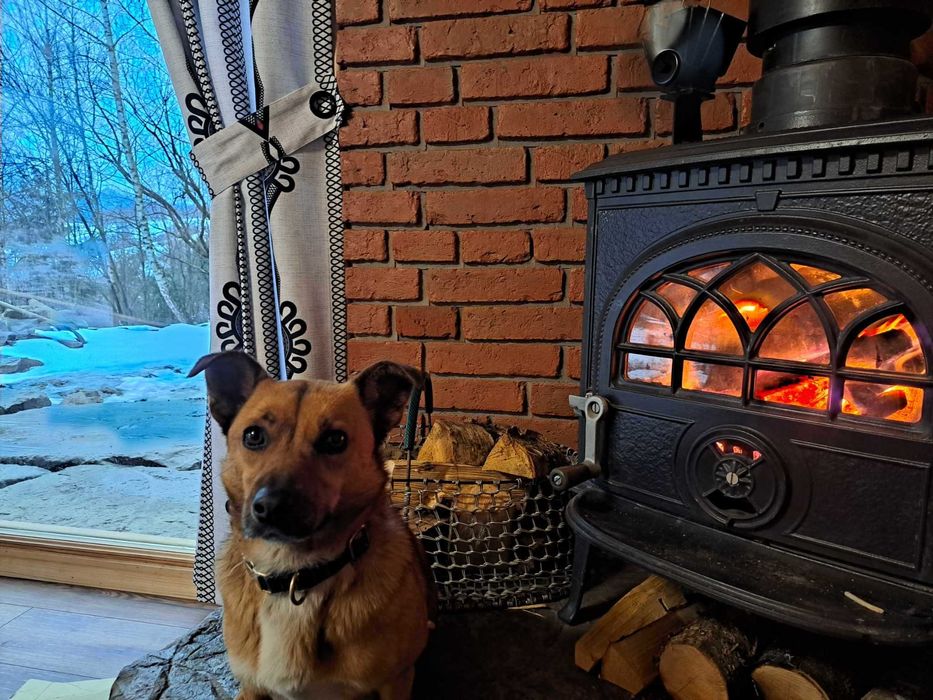 Domek na zboczu w Gorcach