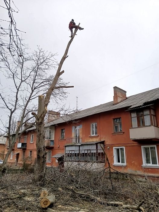 Спил деревьев, обрезка веток,, арбористика,,спилим дерево любое