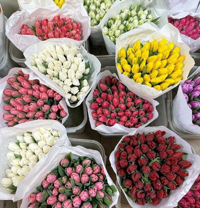 НАЙНИЖЧА ЦІНА!Тюльпани Опт Гурт до 8 березня тюльпаны Постачальник топ