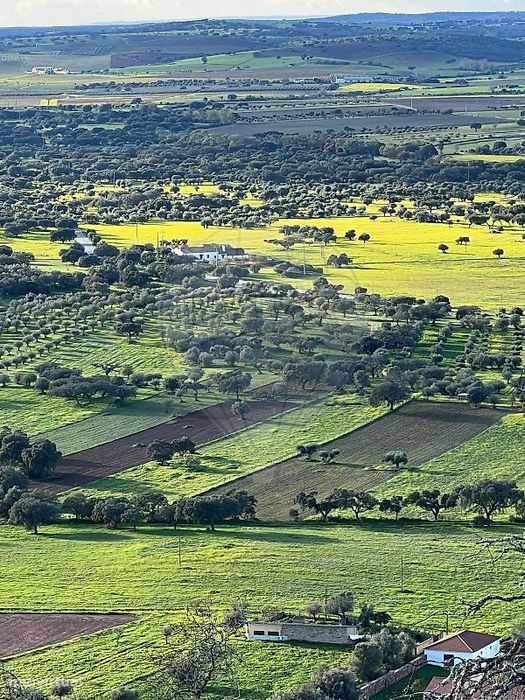 Terreno  para venda