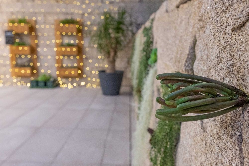 Trespasse restaurante em Santa Maria da Feira