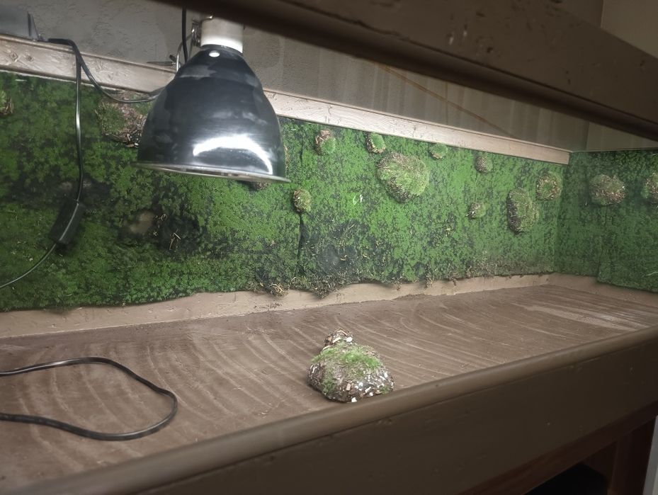 Terrarium dla żówia/ innego gada