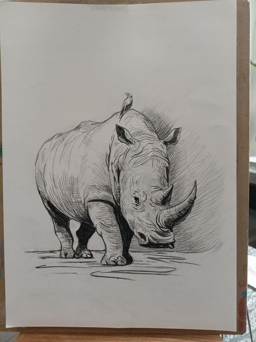 Уроки рисования для детей и взрослых