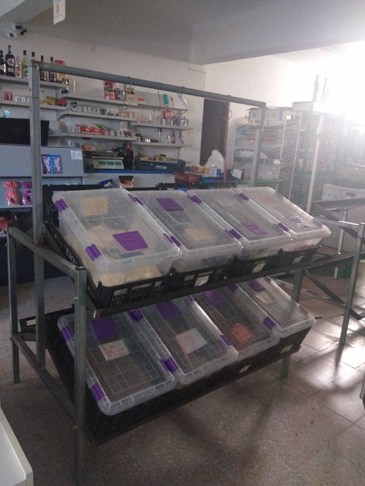 Prateleiras para caixas de frutas p/ Mercearia à Venda – Imperdível!