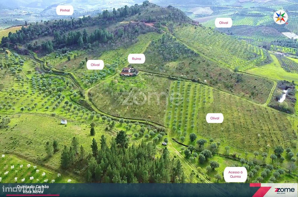 Quinta do Cachão – Agricultural Retreat in the Tua Valley