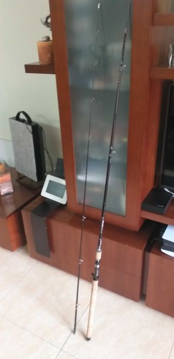 Cana pesca spinning cormoran