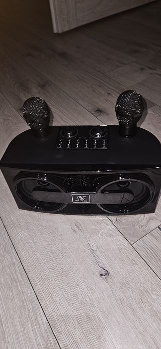 Przenośna maszyna do karaoke dla dorosłych i dzieci z 2 bezprzewodowym