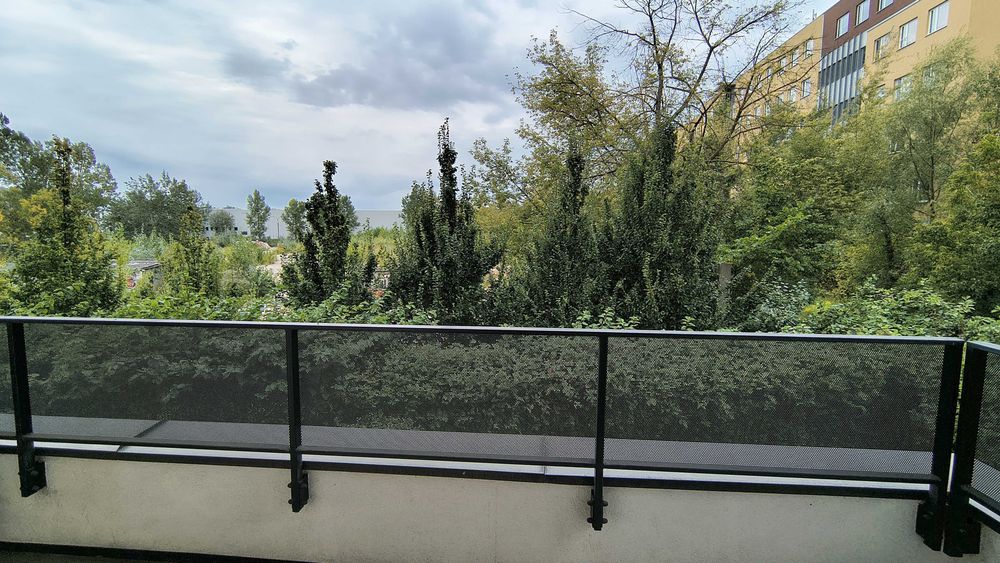 Zdjęcie 8