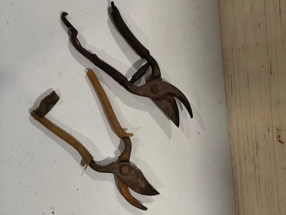 Tesouras de podar e vindimar