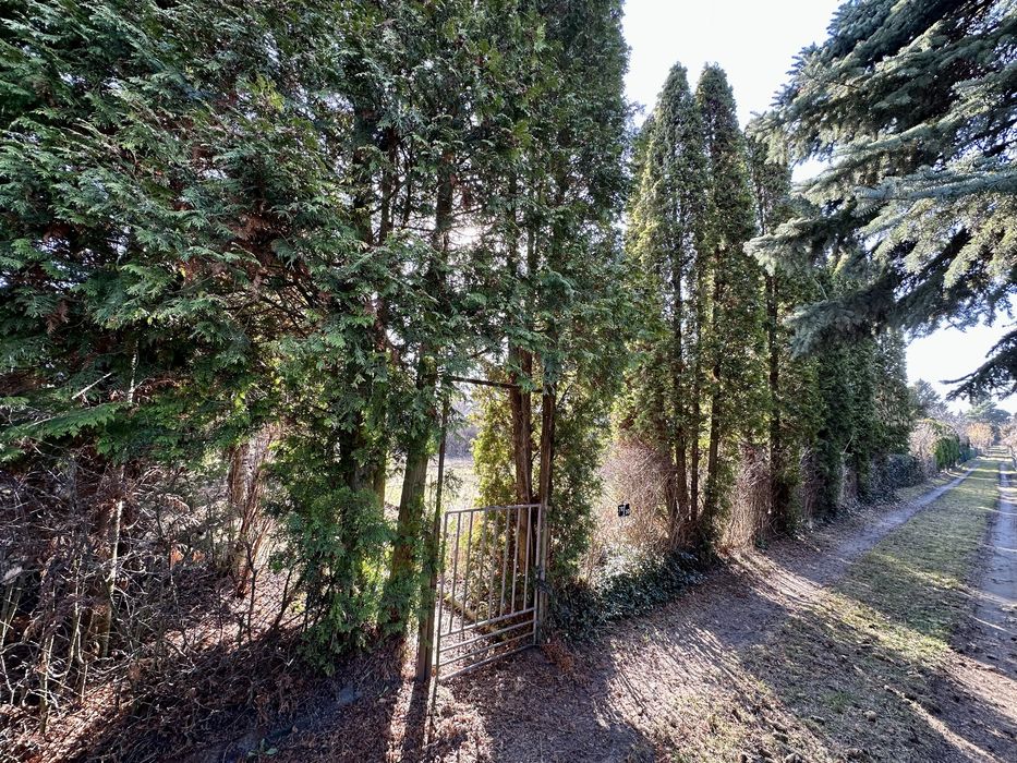 ROD Paluch 635 m², parking przy działce - Więcej