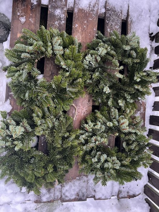 Zywe wianki swierk jodla tuja