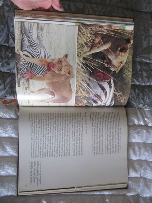 Enciclopédia- Fauna e Animais Selvagens-Alfa -Coleção COMPLETA 16 vols