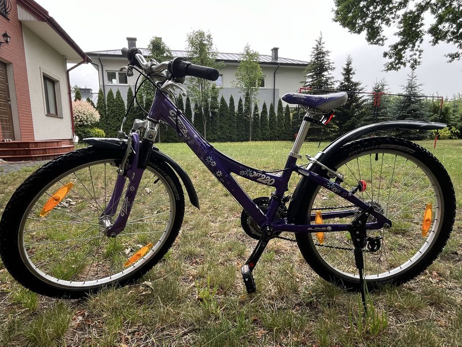 Rower dziecięcy TREK Mt 220