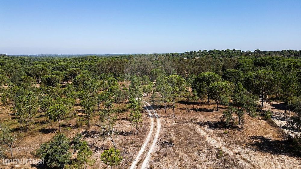 Terreno  para venda