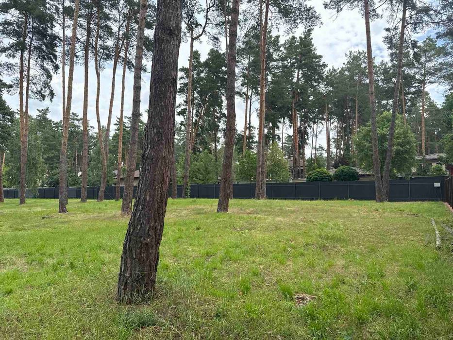 Продаж земельної ділянки с. Романків.