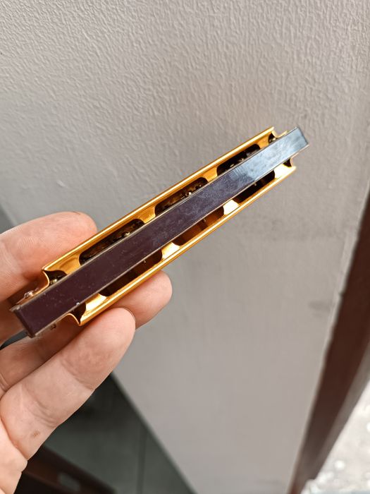 Гармошка Swan Harmonica
