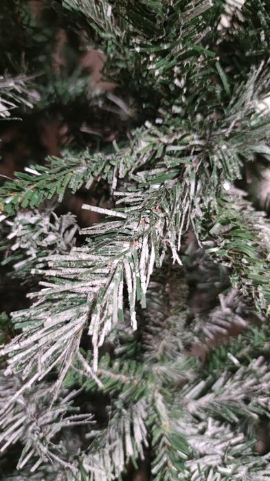 Ялинка в гарному стані, ёлка