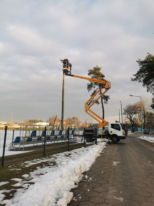 Usługi podnośnikiem koszowym