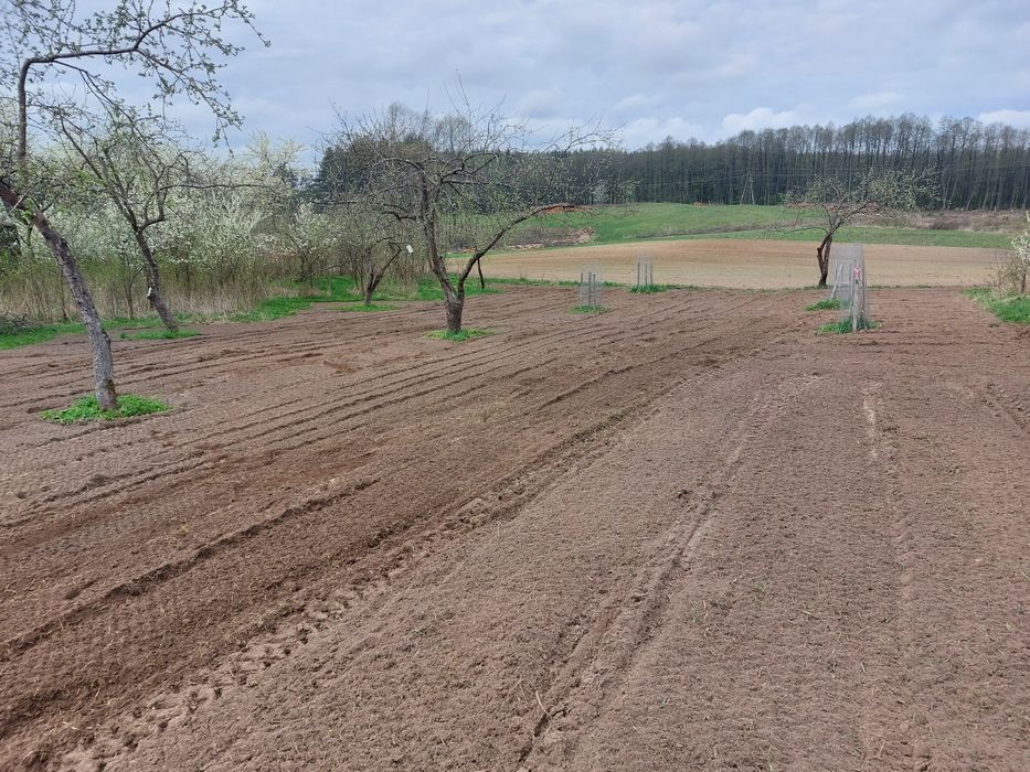 Koszenie usługa glebogryzarką separacyjną, sianie wałowanie.