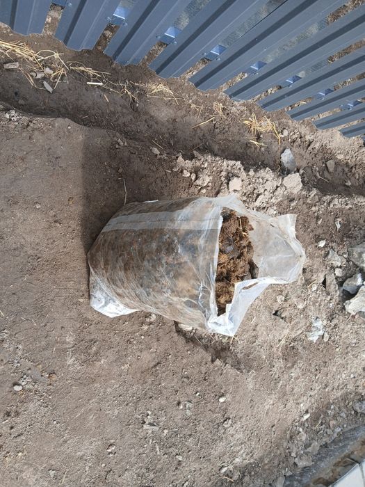 Workowany obornik koński